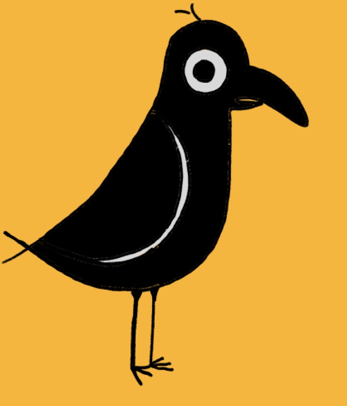 A black crow with a white ring around its eye, standing on thin legs